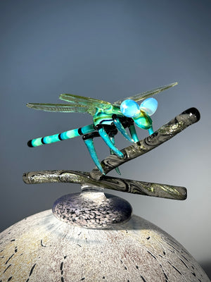 Green Dragonfly Vessel