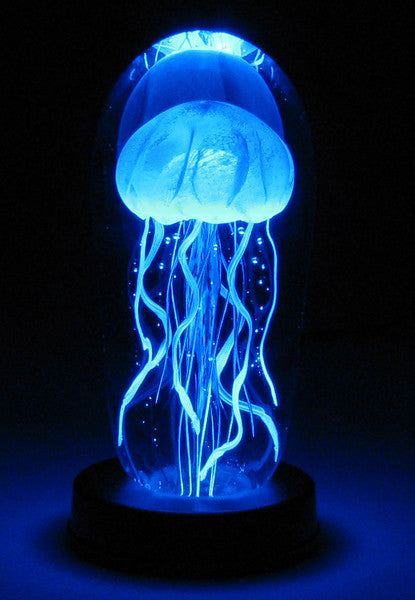 Light Boxes