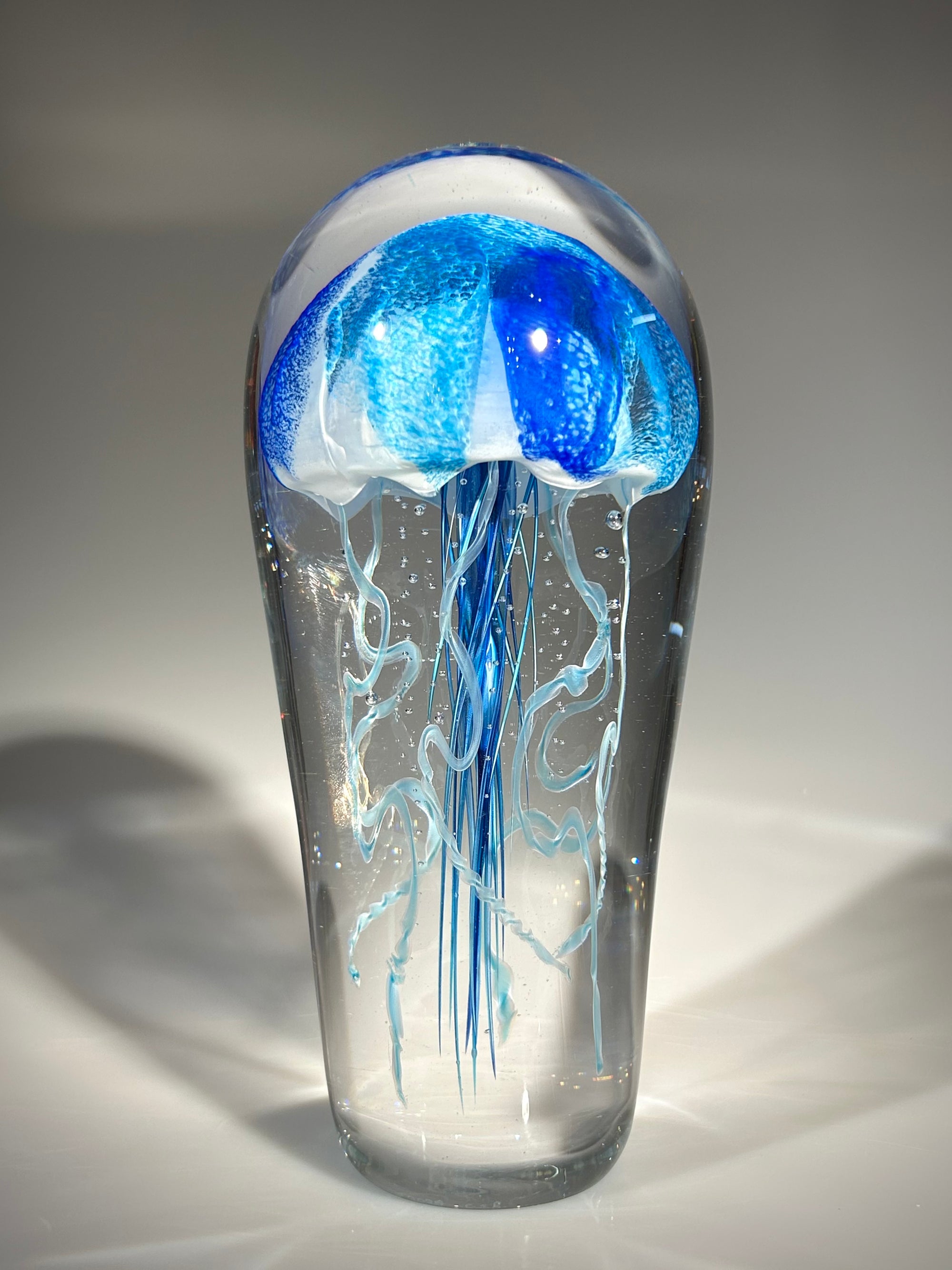 Blue/Blue Jellyfish