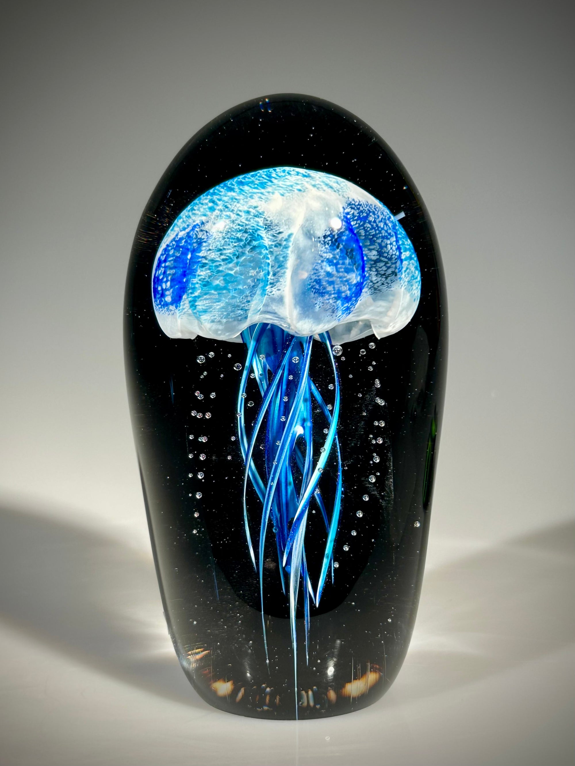 Blue/Blue Midnight Jellyfish