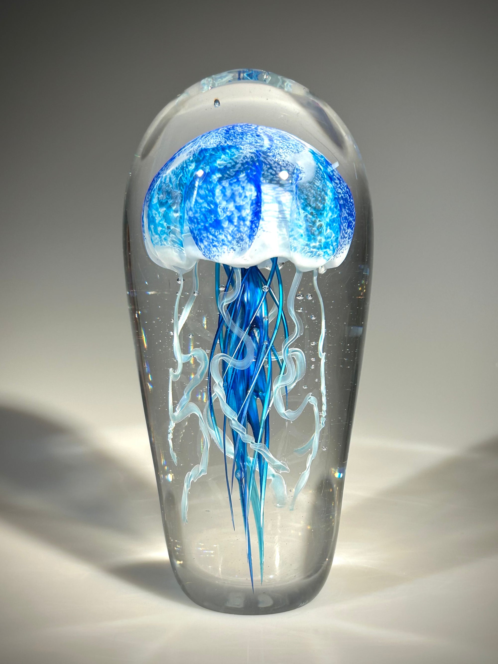 Blue/Blue Jellyfish