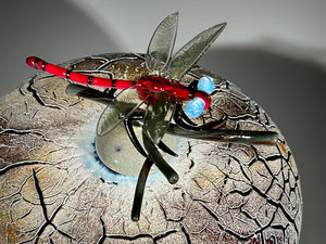 Damselfly Vessel