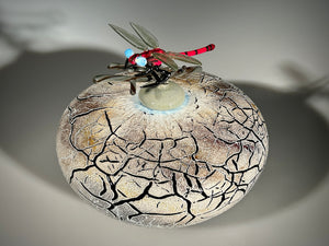 Damselfly Vessel