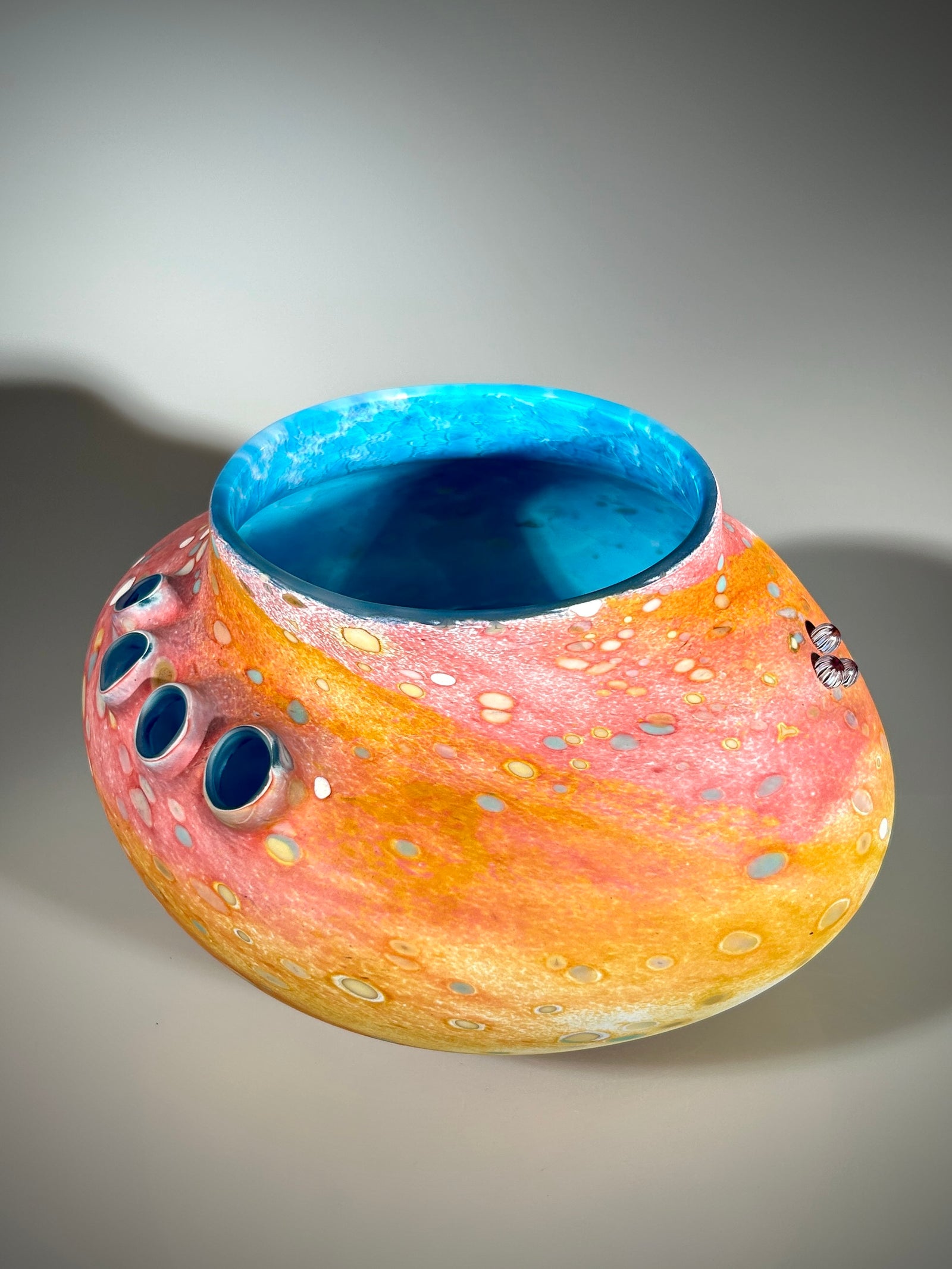 Pink and Blue Abalone