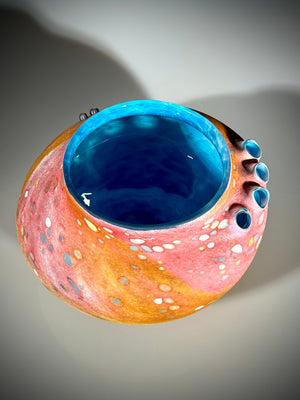 Pink and Blue Abalone