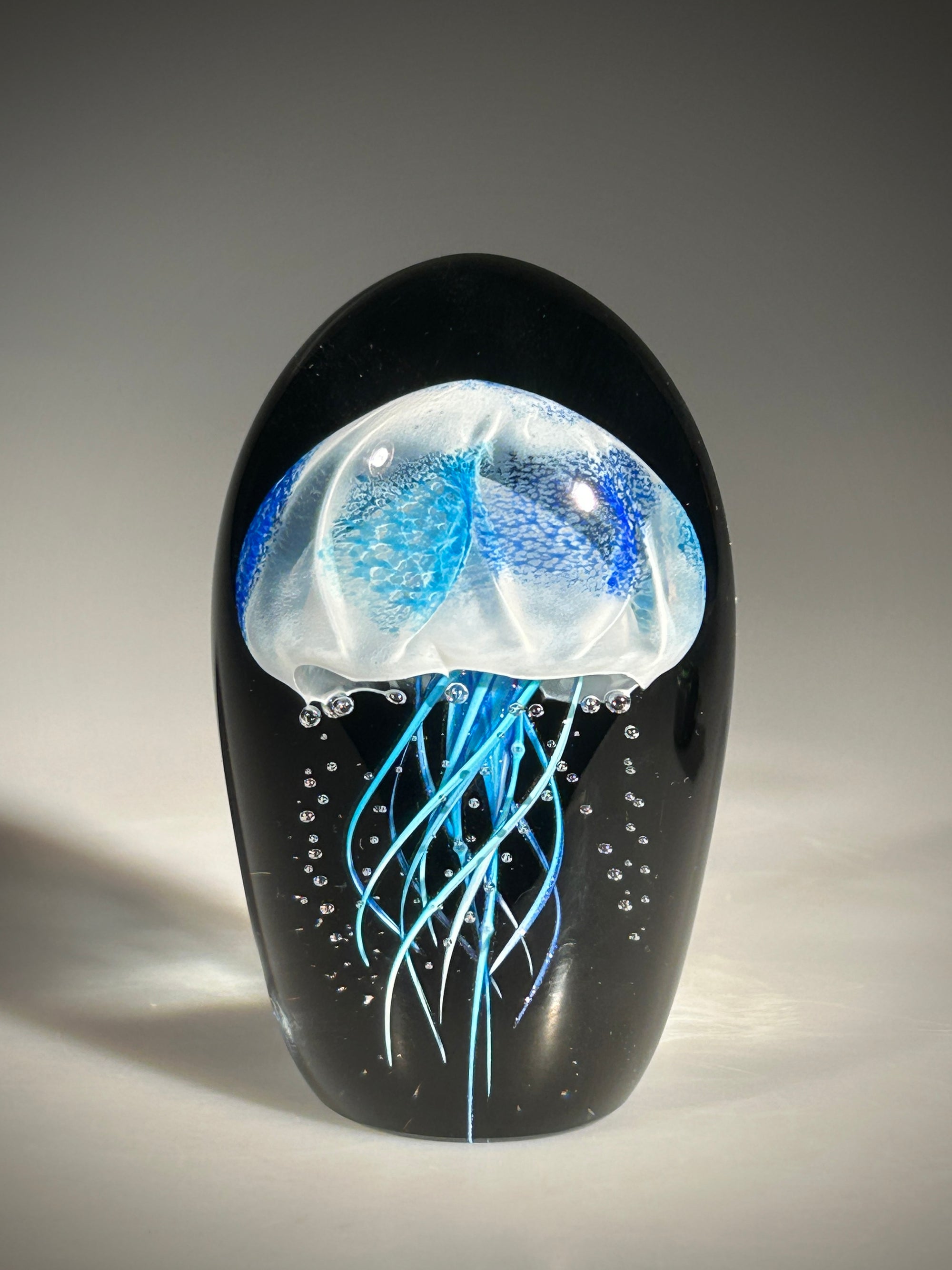 Blue/Blue Midnight Jellyfish