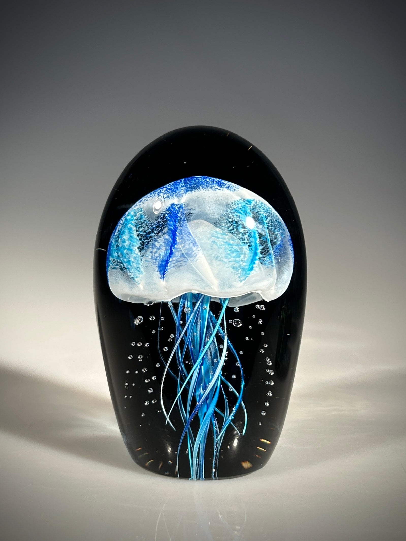 Blue/Blue Midnight Jellyfish
