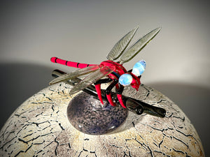 Red Dragonfly Vessel