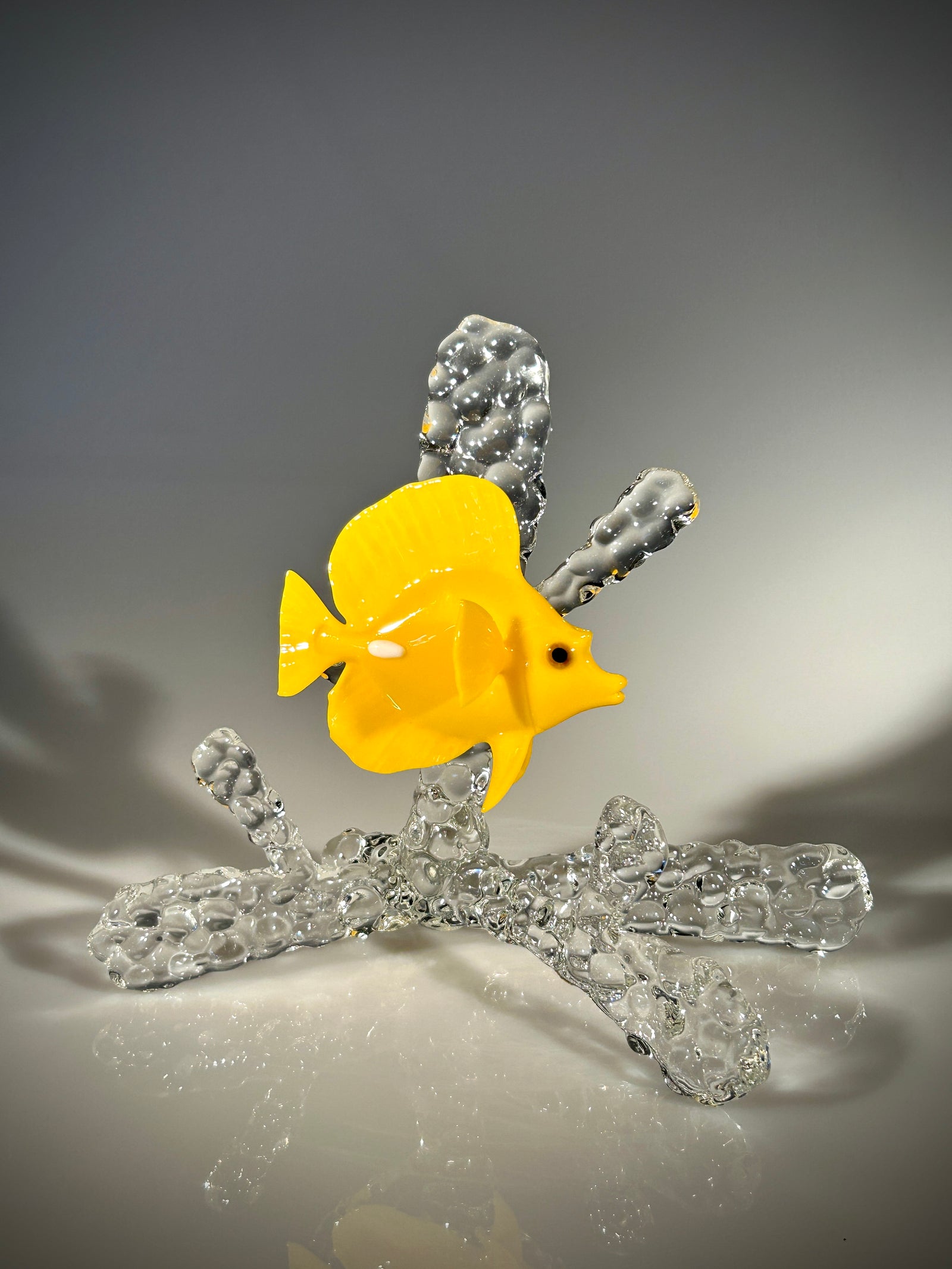 Yellow Tang on coral