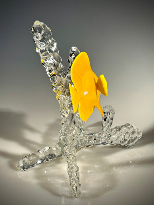 Yellow Tang on coral