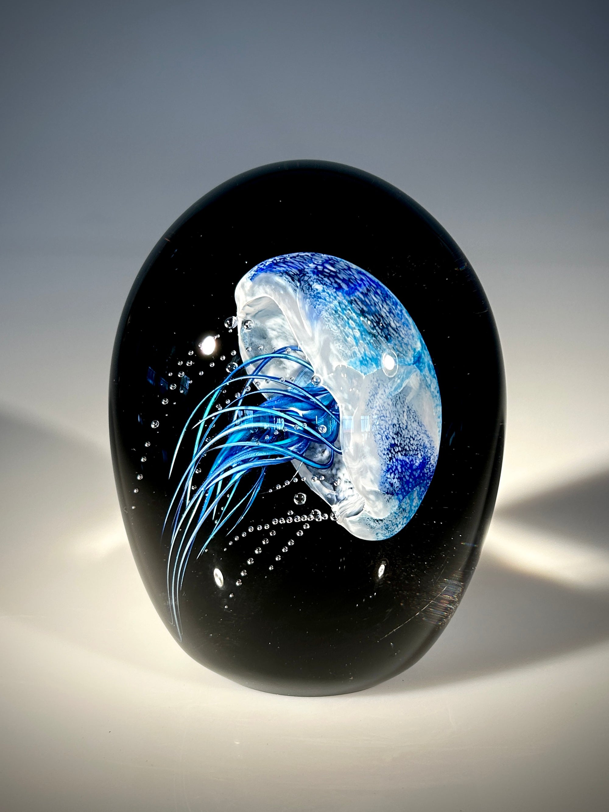 Blue/Blue Sideways Jellyfish