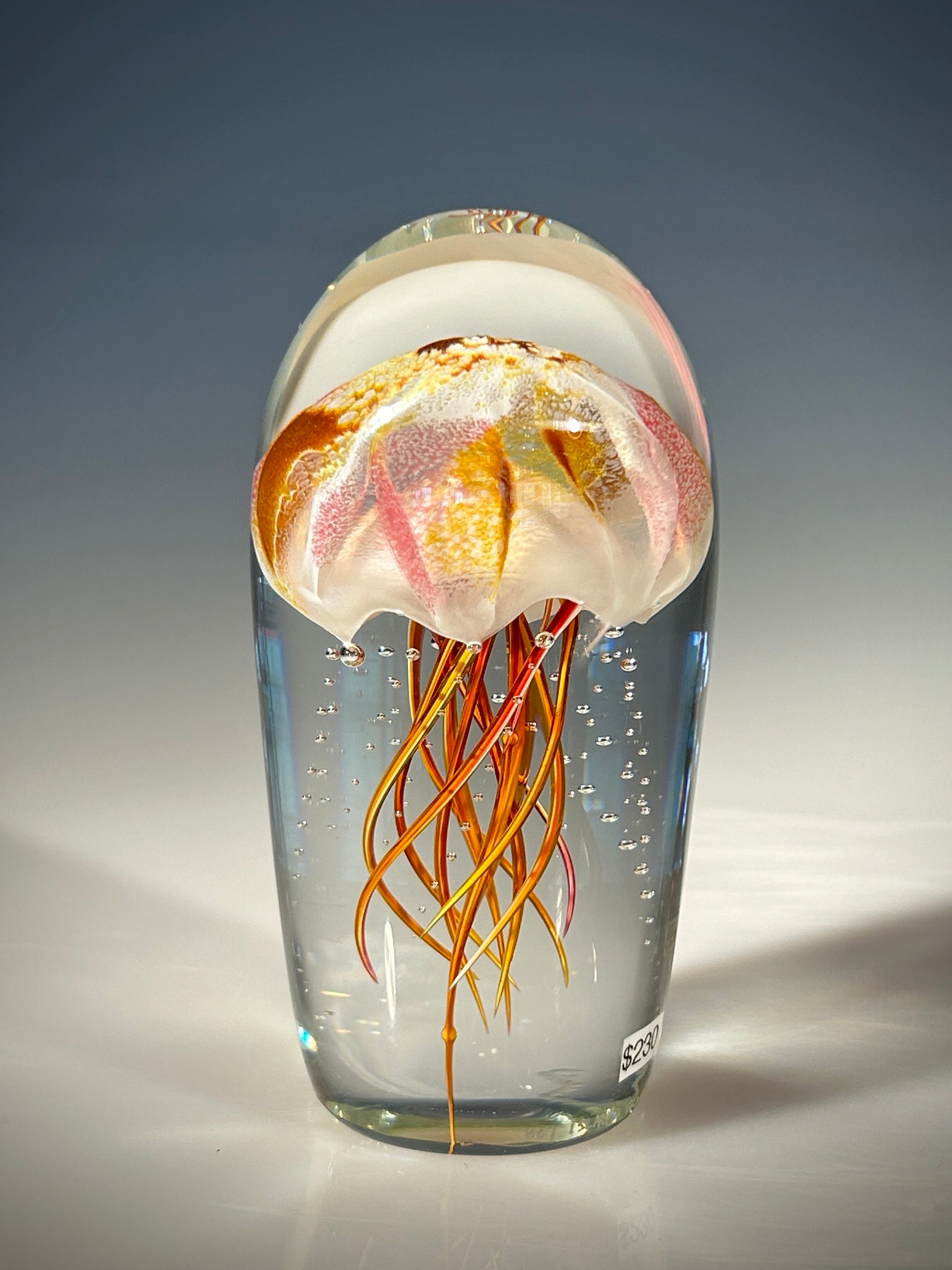 Amber/Ruby Jellyfish