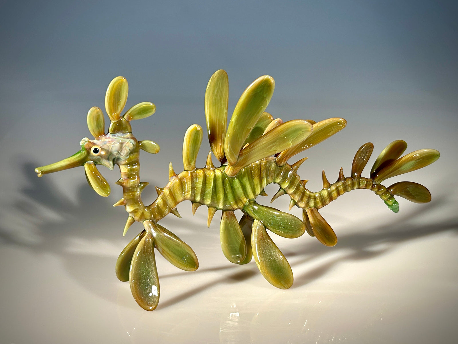 Leafy SeaDragon