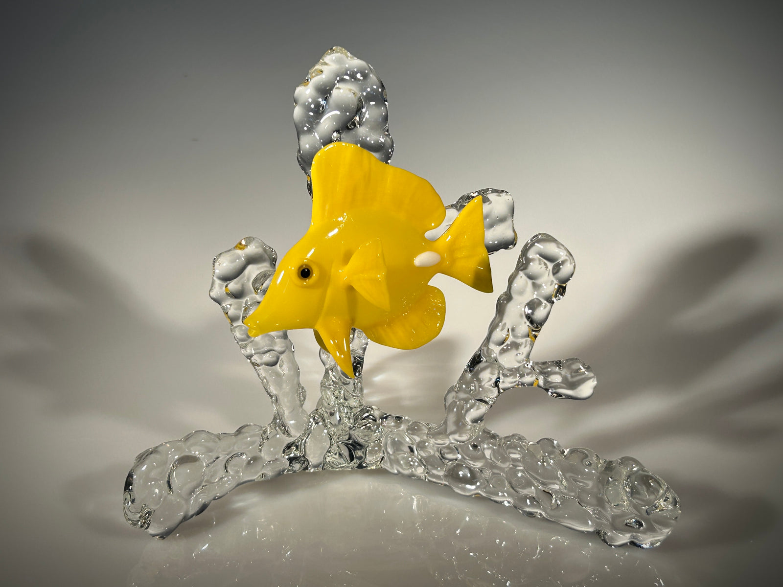 Yellow Tang on Coral