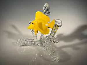 Yellow Tang on Coral