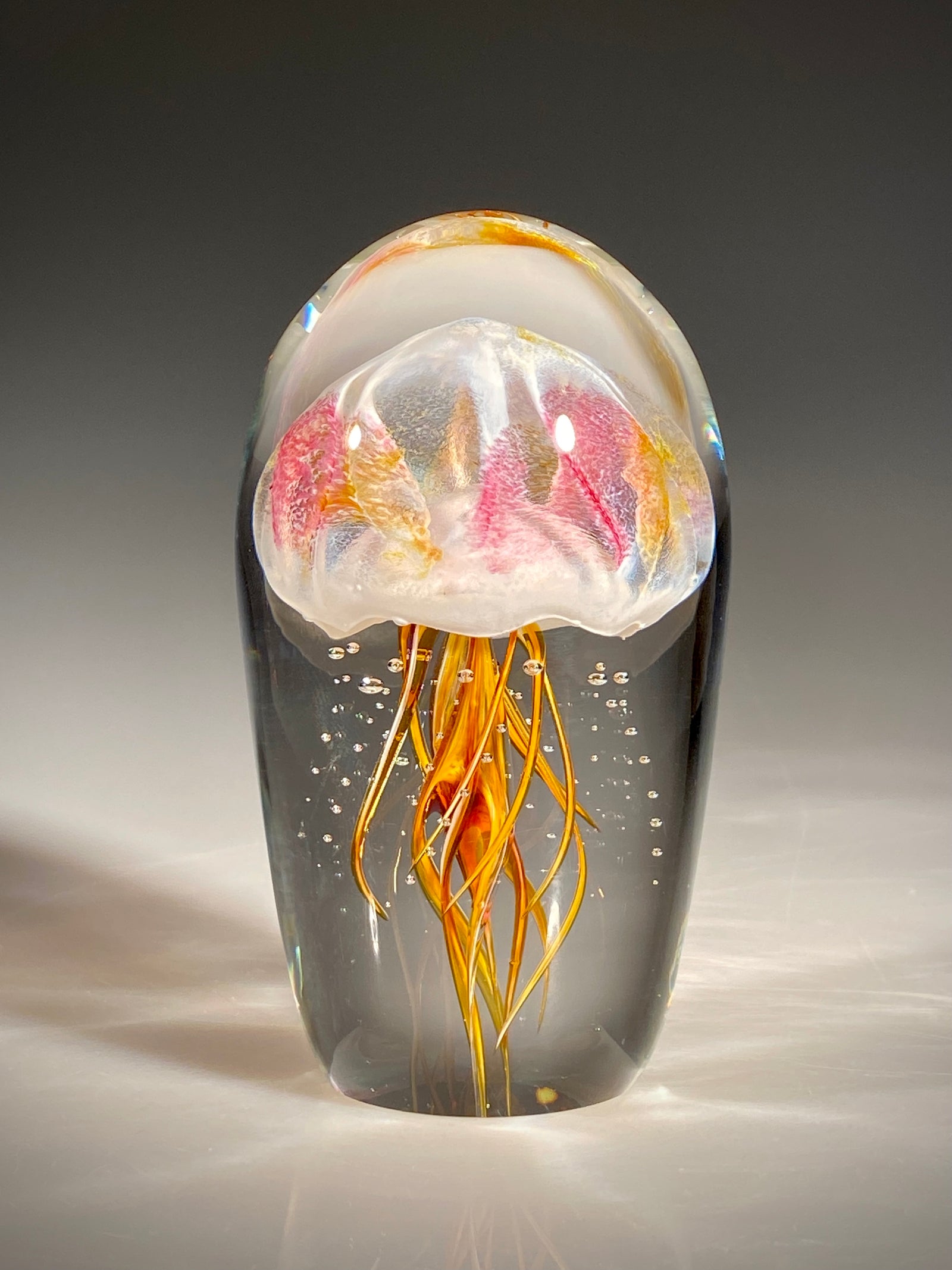Amber/Ruby Jellyfish