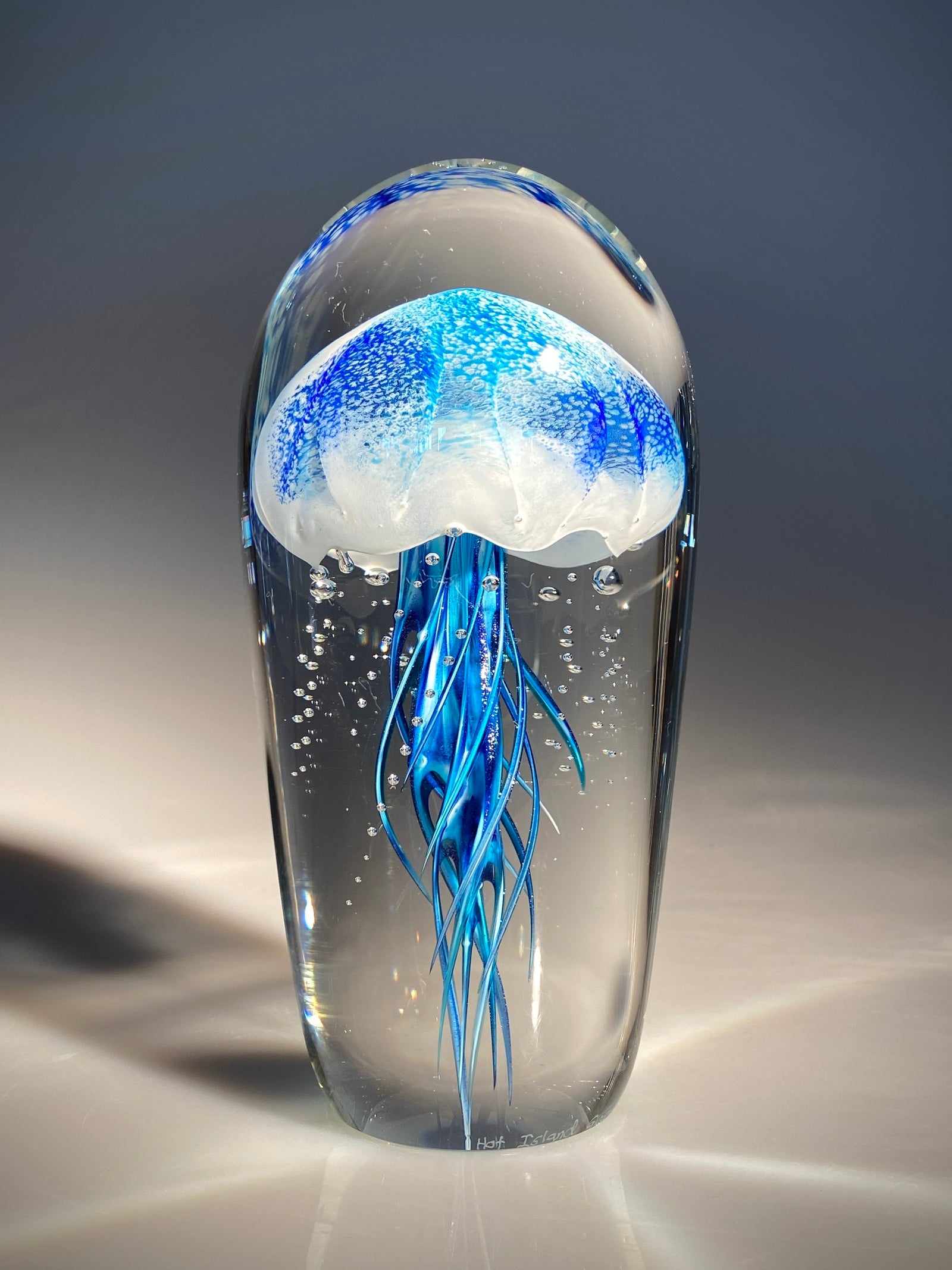 Blue/Blue Jellyfish