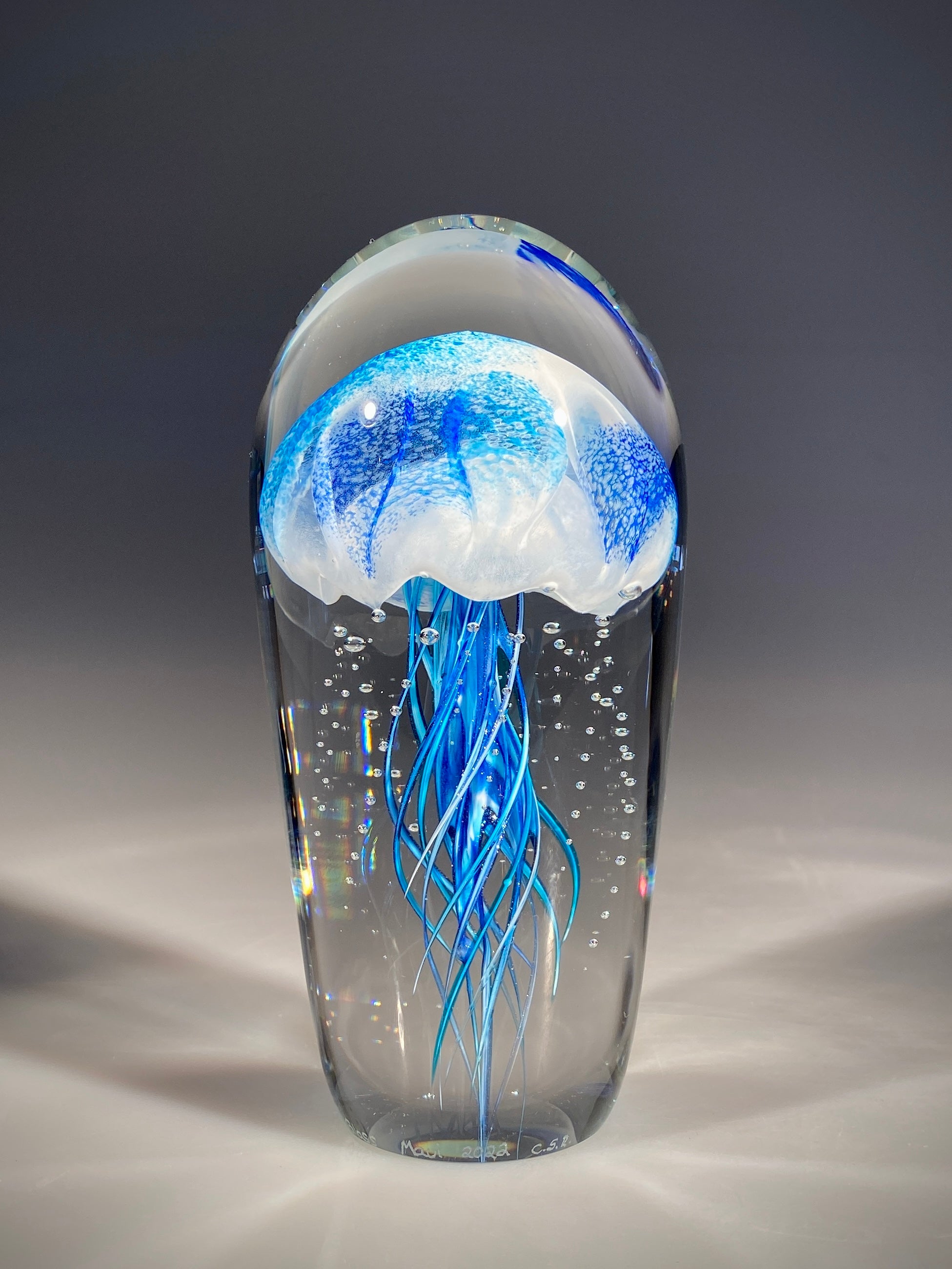 Blue/Blue Jellyfish