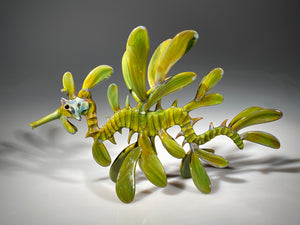 Leafy Seadragon
