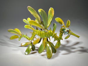 Leafy Seadragon